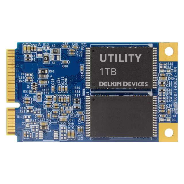 Delkin Devices, Inc. MD1TFNXFC-3N000-2